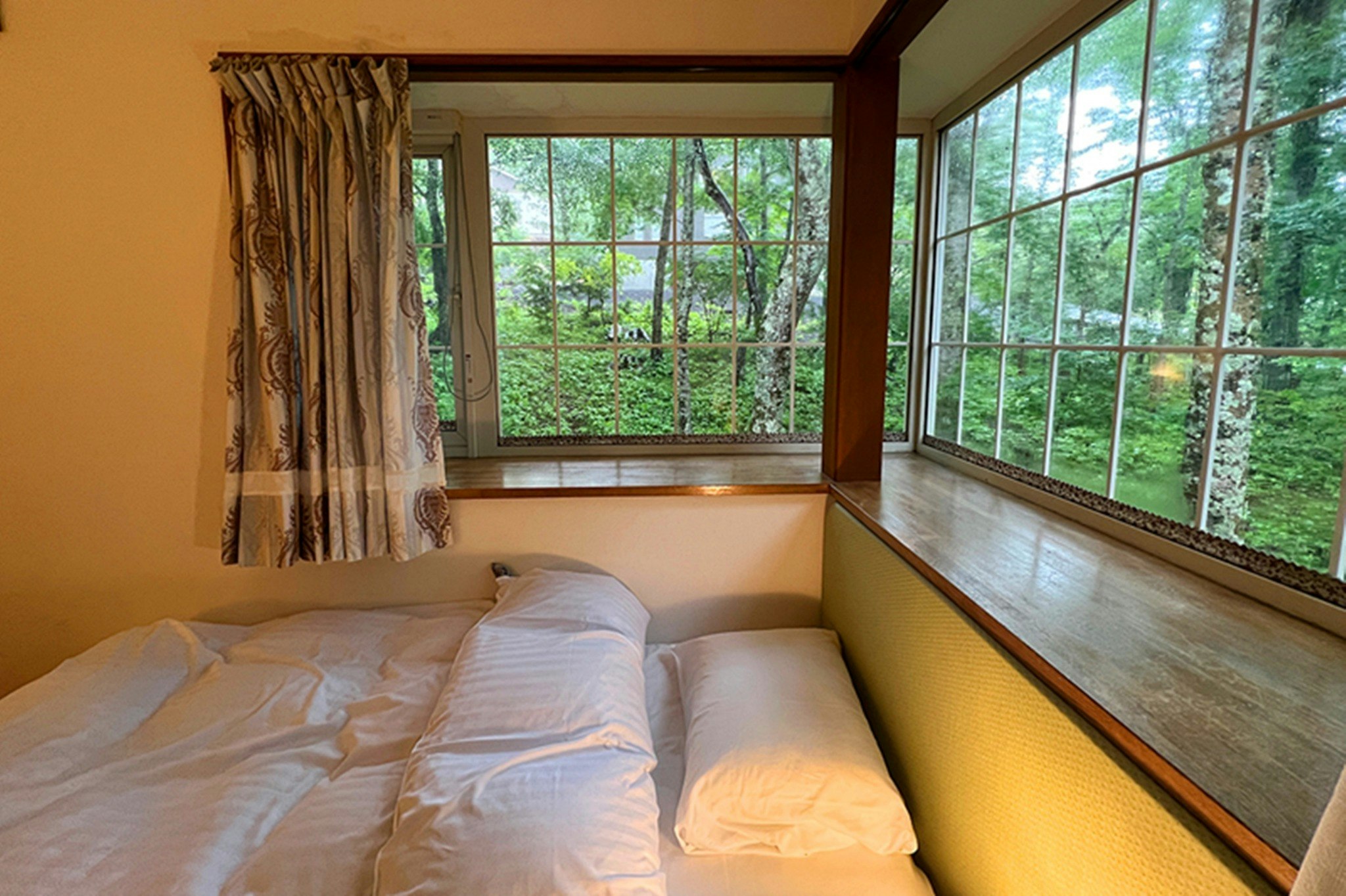 山中湖畔の深い森、遠くに富士山、風の山庄で自然の静寂を楽しむ13号ツイン洋室